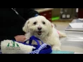 West Hills East Veterinary Clinic