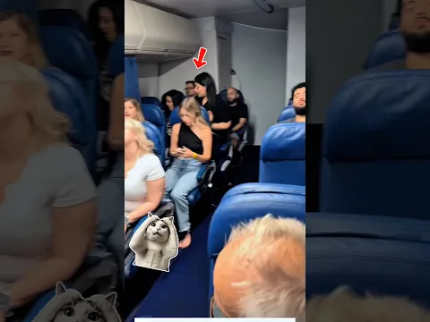 ¡Un Erizo en el Avión! 🦔✈️ #Catsoftiktok #CatLovers #cat #cute #FunnyCats #catcartoon #fyp