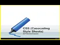 CSS Part CSS Margins Margin - Individual Sides Margin