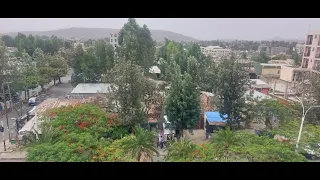 ተድሮስ ታደሰ የጎኔ ባላ ማገር 