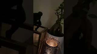  محمود دوريش فأشهد أ نني حي   وح ر   حين أ ن س ى  دندنها