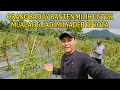 Download Lagu KAGET INILAH VILA ORANG BADUY BANTEN YANG JADI MILYADER