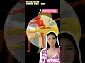 Download Lagu 5 Gaya Sex Gen Z Kamu Gak Tahu #genz #hot