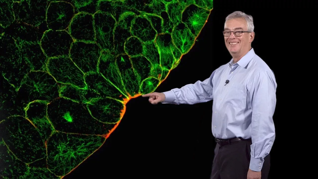 Richard Harland (UC Berkeley) 2: The Cellular Basis of Gastrulation