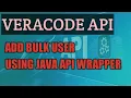 Veracode API How to create bulk user using Java API Wrapper