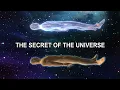 Within You is the Power - THE SECRET POWER OF THE UNIVERSE