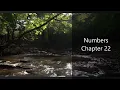 The Book of Numbers Chapter 22 - New King James Version NKJV