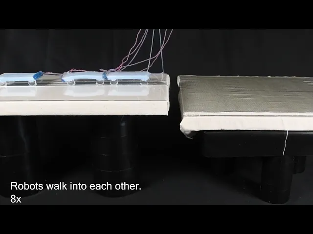 Self-Amputating and Interfusing Machines: Crawler Demo