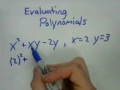 Evaluating Polynomials