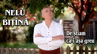 Download Nelu Bitina si Orchestra Lautarii de la Chisinau - De stiam ca-i asa greu  (official video) NOU MP3