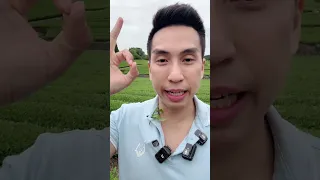 แสงแดดตอนเช้ามีประโยชน์อย่างไรต่อร่างกาย