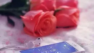 اجمل اغنية تركية ساكن مايروم ترجمة بالوصف 