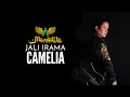 Download Lagu JALI IRAMA - CAMELIA 2
