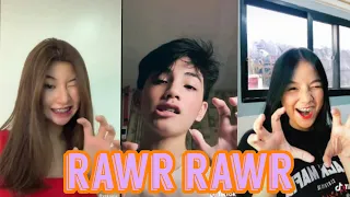 Download Rawn RAWR || New Tiktok Compilation MP3