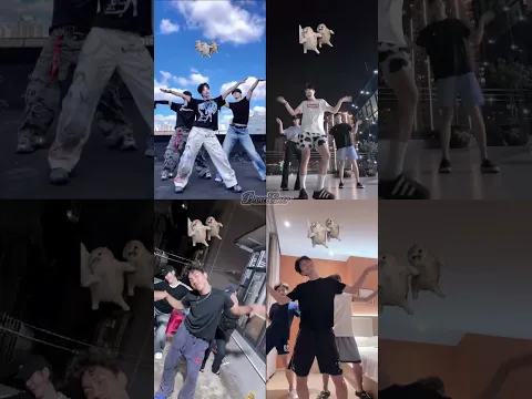 三只小猫手势舞 Cool (Remix) Dance Trend #shorts #dance