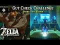 Gut Check Challenge Shrine Quest Gorae Torr Shrine The Legend of Zelda BOTW Tutorial