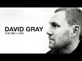 Download Lagu DAVID GRAY - The One I Love (Official Audio)