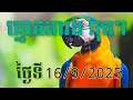 Download Lagu ឆ្នោតអាវង ឆុតៗ ថ្ងៃទី 16/9/2025