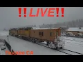 Live Truckee California Truckee Railroad Museum Cam UP S ROSEVILLE SUB