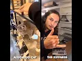 Download Lagu Alugalug Cat X The Kiffness (Soulful Singing Cat Live Looping Remix)