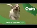 Hound Group Judging And Presentation Crufts 2019