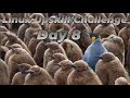 Day 8 Text Processing - Linux Upskill Challenge