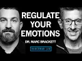 Download Lagu How to Increase Your Emotional Intelligence | Dr. Marc Brackett