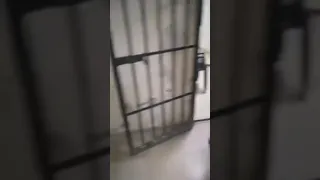 عاجل       تحرير الحرائر           من سجنون طاغية الشام دندنها