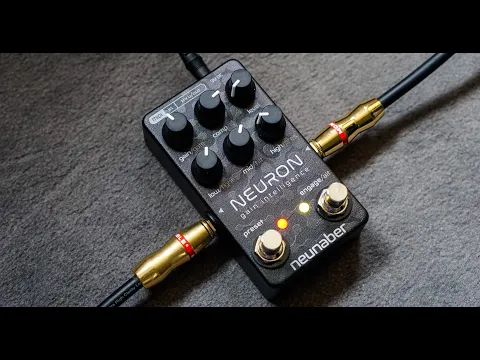 Neuron neunaber 楽器・機材 Neunaber Neuron 多機能プリアンプ ドライブ MIDI搭載