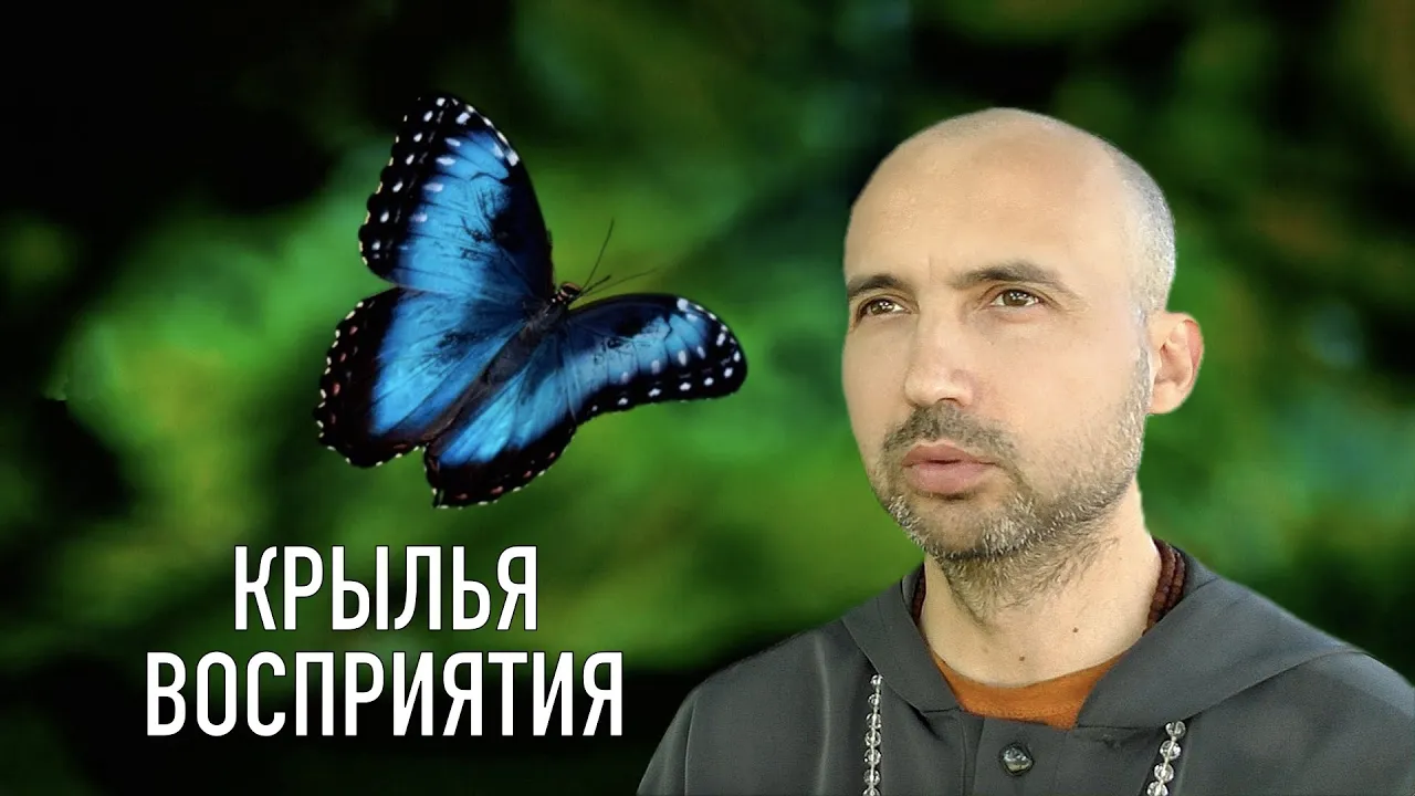 course крылья восприятия image