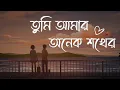 Tumi Amar Onek Shokher - Piran Khan ft. Jony (Lofi Remake) | তুমি আমার অনেক শখের | Ahmed Shakib