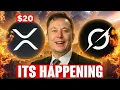 Download Lagu XRP NET BINNEN! De AI van Elon Musk heeft zojuist de prijs van XRP voorspeld en je zult versteld ...