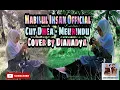 Download Lagu Lagu Aceh Terbaru 2022 Cut Dhea - Meurindu (Cover By Dianadya)