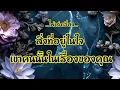 Download Lagu ไพ่เล่าเรื่อง📙สิ่งที่อยู่ในใจ เขาคนนั้นในเรื่องของคุณ🎀🎀🥰🥰💜💜#ไพ่Tarot#ไพ่ยิปซี🎴🀄