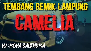 Download TEMBANG REMIK LAMPUNG CAMELIA || VJ ROVA SALENDRA || MP3