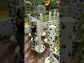 Download Lagu Aeroponic vertical farming with Tower Farms 🌱#TowerGarden #Aeroponics #VerticalFarming #TowerFarms