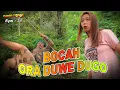 Download Lagu Film komedi jawa, BOCAH ORA DUWE DUGO || Kelucuan warga GANG DOBOS // EPS: 31