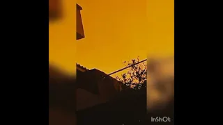 قصيدة شعر ثم أدفع فاتورة القلق غالية جدا 