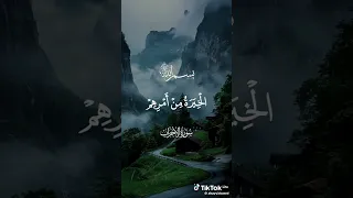 الشيخ السيد سعيد سورة الأحزاب 