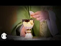 Catholic Mass Today 26 Sixth Sunday in Ordinary Time