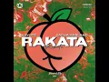 Download Lagu Rakata (FAHMY FAY Edit)