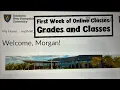 SNHU First Week of Online Classes Grades and What Classes I m Taking