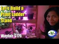 LET S BUILD A PLANT LADDER STAND 179 at Wayfair