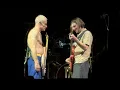 Red Hot Chili Peppers - Black Summer (Live) 4K