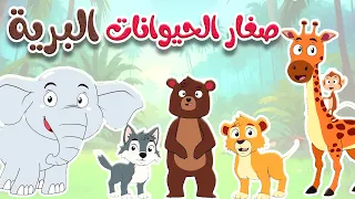 أغنية صغار الحيوانات البرية قناة أسرتنا  أغنية صغار الحيوانات البرية قناة أسرتنا