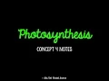OLD Unit 3 Photosynthesis Notes