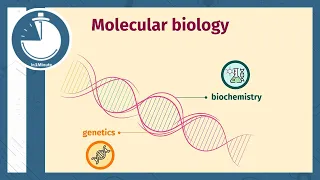 البيولوجيا الجزيئية Molecular Biology 