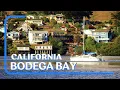 7 Fun Things to do in Bodega Bay California Best Clam Chowder Oysters in the World