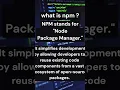 What is NPM Node Package Manager