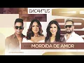 Download Lagu Banda Encantu´s - Mordida de Amor ( Ao Vivo )